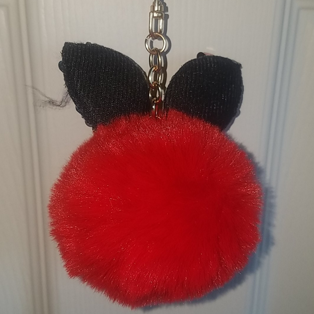 Key Chain - Picture 3 of 4